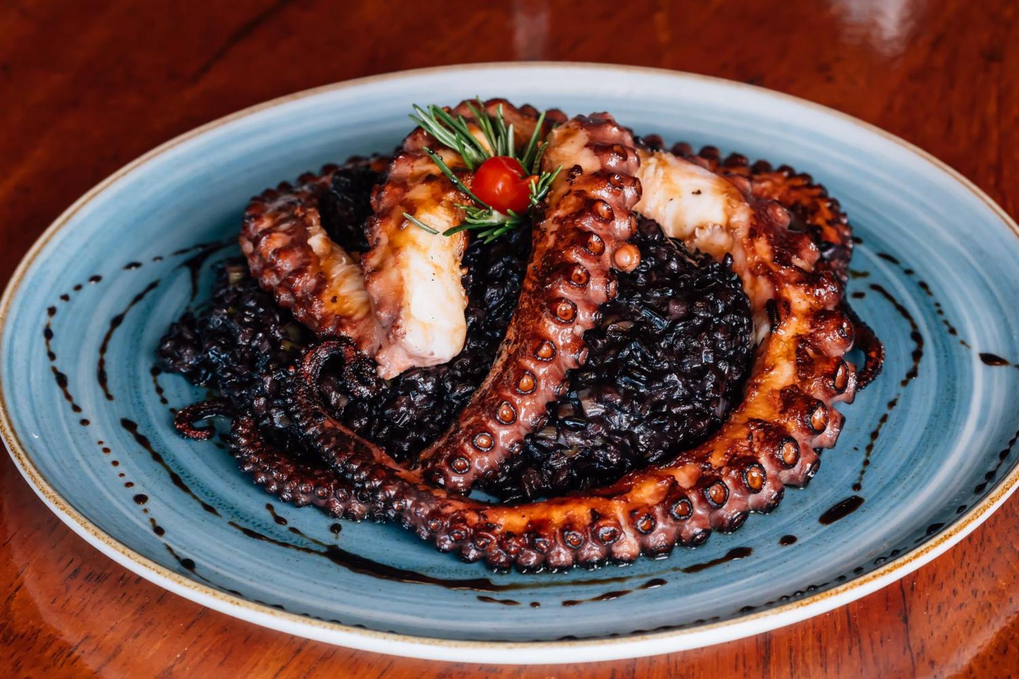 Costao Do Santinho Resort All Inclusive Florianopolis Exterior photo Black risotto with octopus